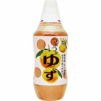 10%OFF 北川村ゆず王国　アイス用ゆず茶　つぶつぶゆず　480g　12個セット　12040 送料無料 メーカー直送 代引き・期日指定・ギフト包装・注文後のキャンセル・返品不可 納品遅れやキャンセルが発生 6,417円