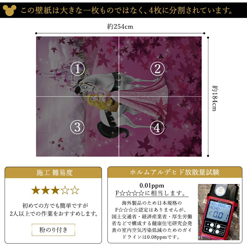 輸入壁紙 インポート壁紙 Disney 張り替え 補修 クロス はがせる クロス ネット 壁紙 工場 おしゃれ だまし絵 ディズニー のり付き Wallpaper コマー Sleeping Beauty 眠れる森の美女 4 495 カーテン カーテンレール 窓際貴族 即納可 ディズニー好きにはたまらない