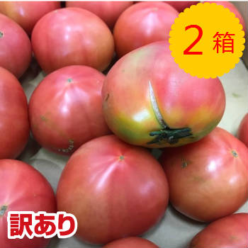 訳あり品 送料無料【九州産】箱売り トマト 2箱 目安４kg×2箱 クール便 <br>国産 日本産 福岡 熊本 大分 産 B級品 傷あり フードロス まとめ買い 箱買い お取り寄せ 業務用 大容量 大量 パック 糖度 収穫 時期 旬 甘い 直売 産直 通販 品種