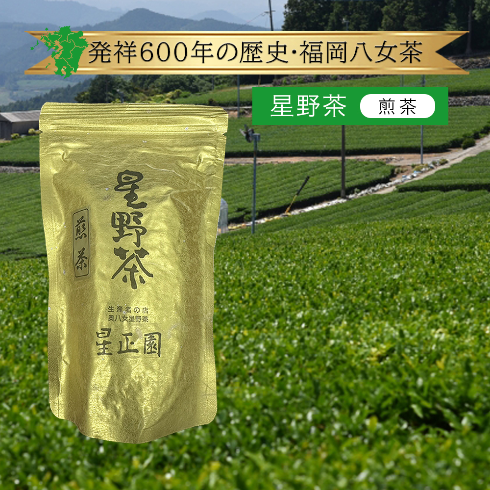 八女　星野製茶園　抹茶　茶くら　八女抹茶　星光の昔　rare 八女 星野製茶園 抹茶 茶くら 八女抹茶 星光の昔 rare - メルカリ