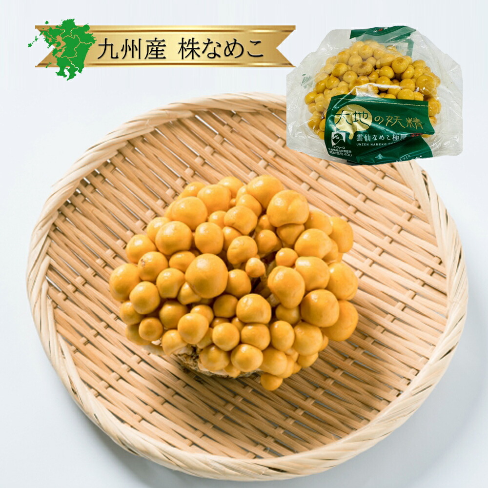 楽天市場】北海道産 たまねぎ箱売り 1箱 送料無料 20kg 8kg 2kg