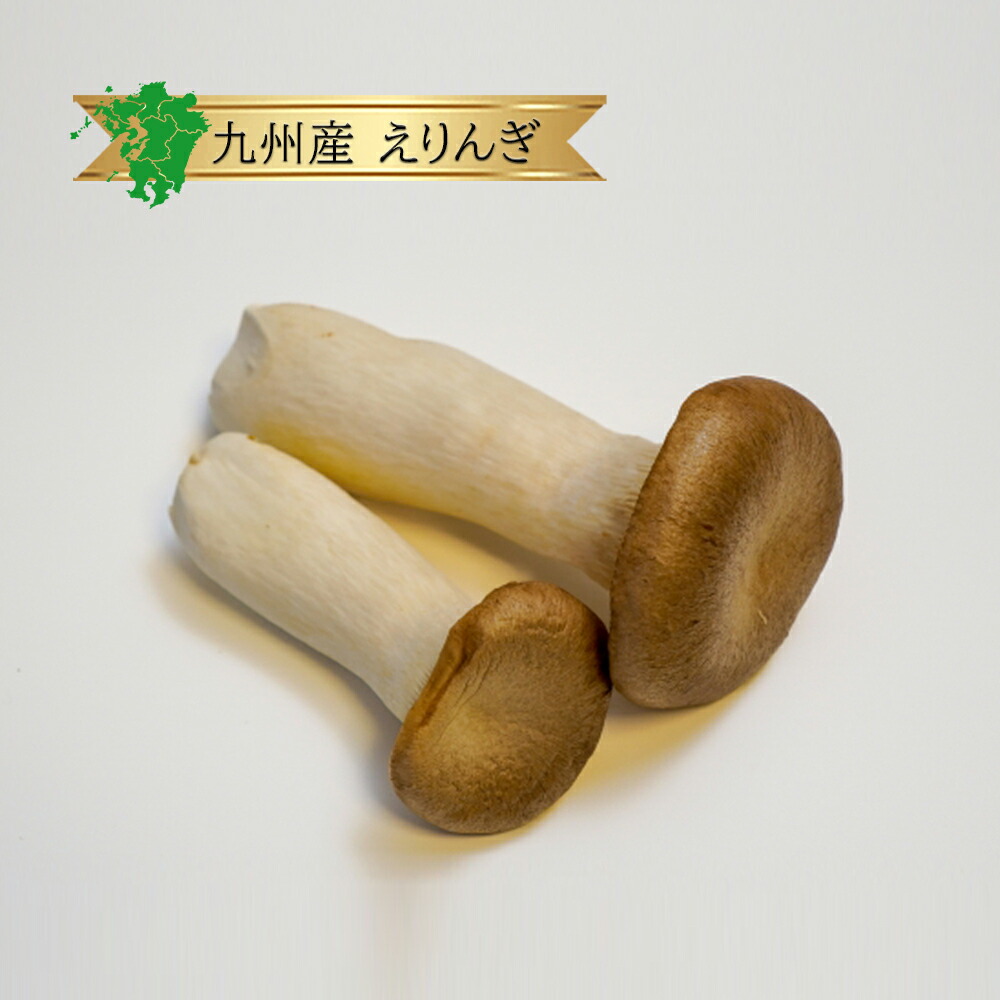 楽天市場】北海道産 たまねぎ箱売り 1箱 送料無料 20kg 8kg 2kg