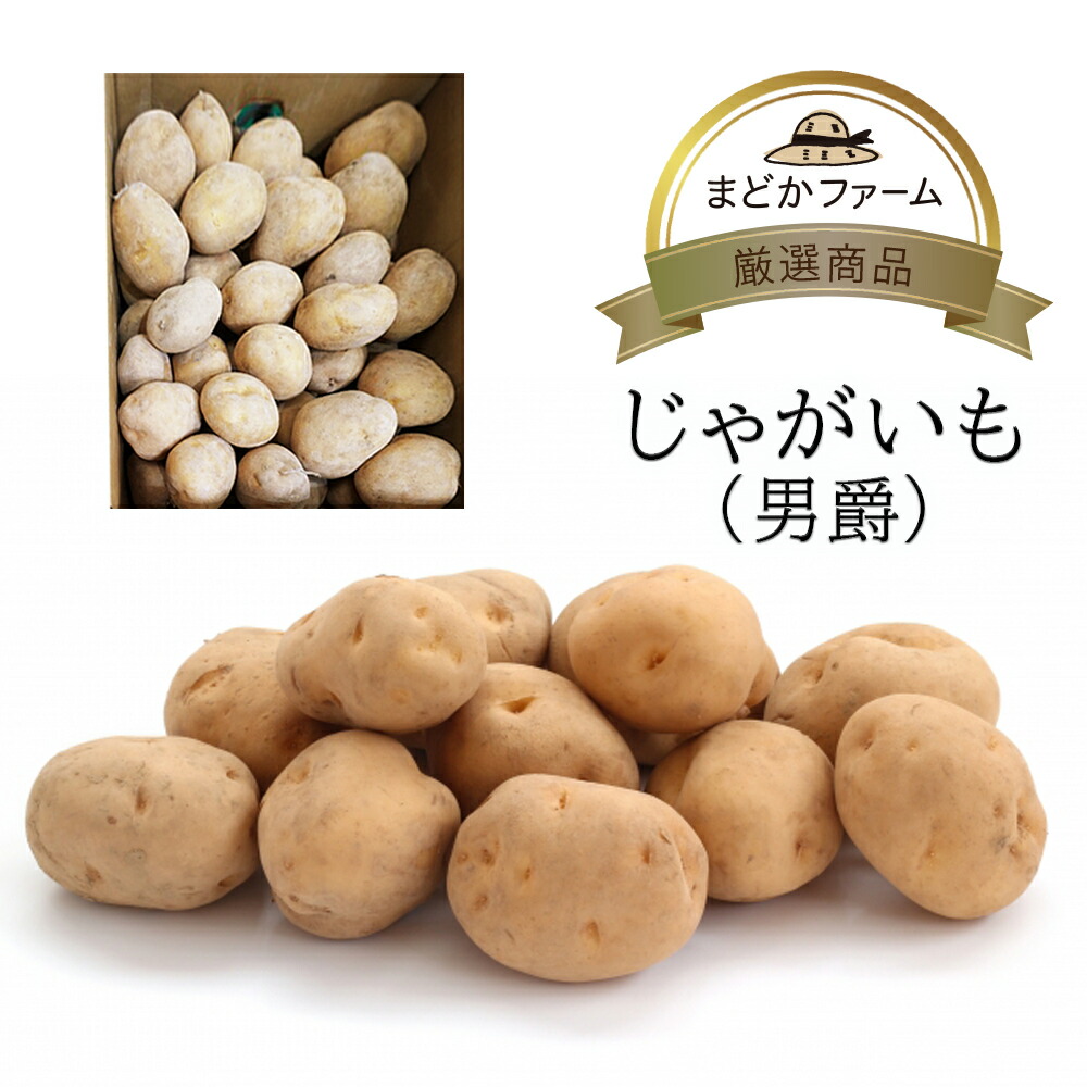 楽天市場】ピーマン 1箱 1kg / 4kg【九州産 送料無料】 箱売 鹿児島