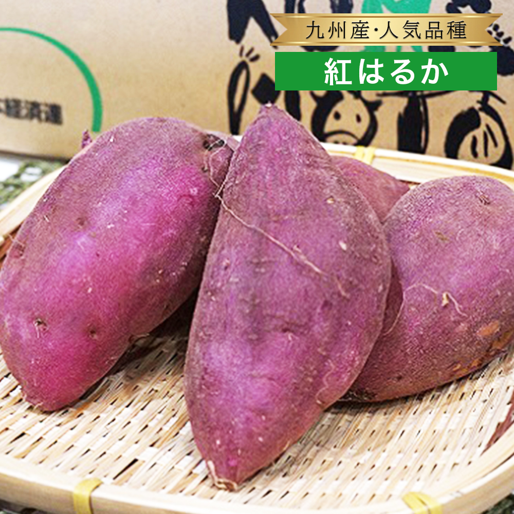 ヤーコンＢ級品9.5Kg！大きめサイズ - 野菜