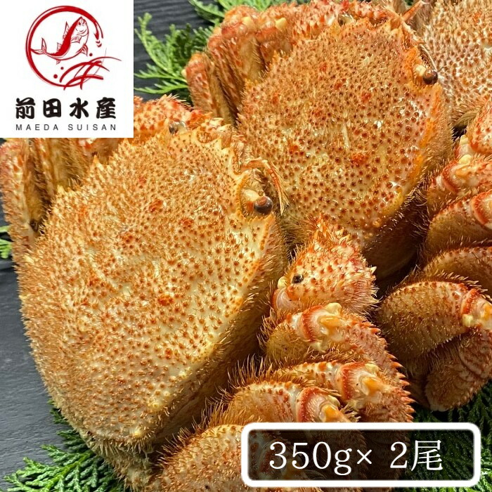 北海道産 毛蟹 2杯セット(約600g分) ボイル済み 冷凍 毛ガニ けがに 毛がに 蟹 かに 道産品 お歳暮 お祝い 父の日 母の日 コロナ 応援 備蓄 お取り寄せ