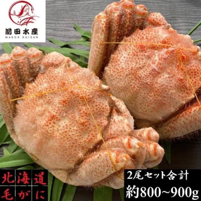 【9999円でご購入可能！父の日応援クーポン配布】【訳あり】北海道産　毛蟹　2尾セット（合計約800-900ｇ分）　訳あり　付け足　足折れ　1尾400ｇ前後サイズ　　ボイル　冷凍　毛ガニ　けがに　蟹　かに　道産品　お歳暮　お祝い　お取り寄せ