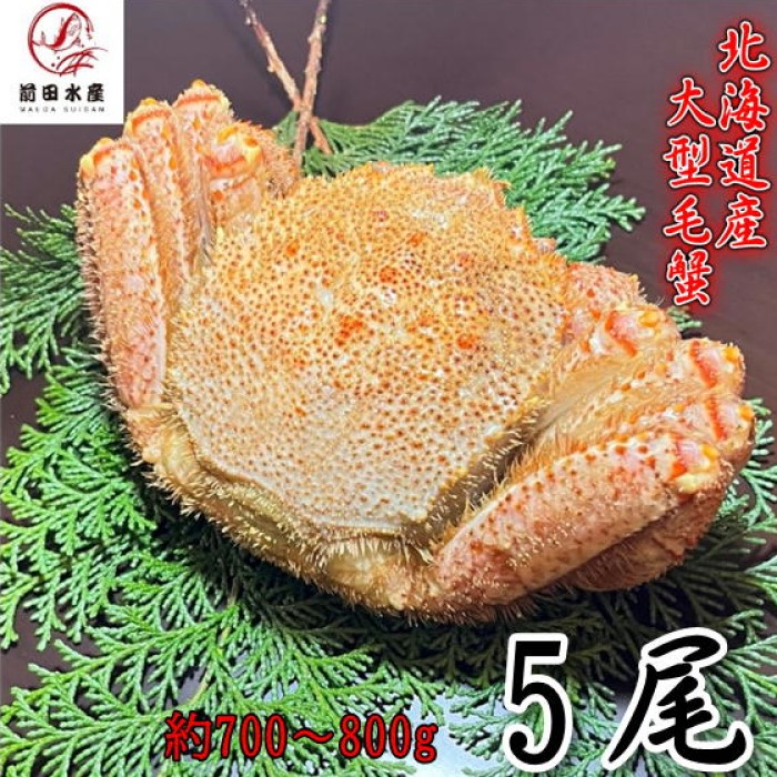 【ギフト】大型毛蟹 5尾(700-800gサイズ) 北海道産 ボイル 付け足 一部訳あり 冷凍 お中元 お歳暮 母の日 父の日 フードロス 毛蟹 毛ガニ けがに|前田水産