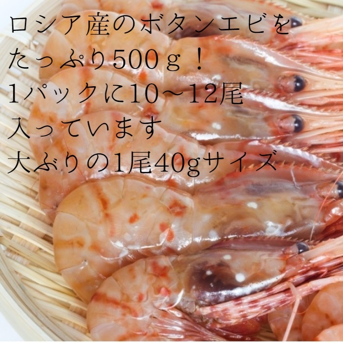 楽天市場 食欲の秋応援クーポン配布 北海道直送 特大 お刺身用 高級 ボタン海老 オス Lサイズ 500ｇ 9 12尾入れ 鮮度抜群 冷凍品 急速凍結品 ボタンエビ エビ 海老 お歳暮 お中元 母の日 父の日 備蓄 コロナ 応援 前田水産