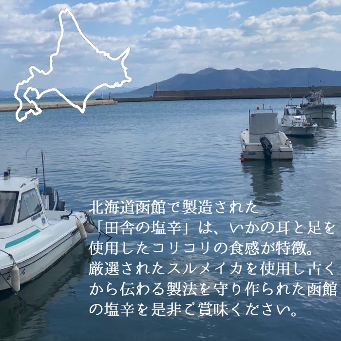 北海道直送 函館造上げる 過越し方仕組み 在所の紙鳶塩辛 230 14束ね 凍結 スルメイカ するめいか 実に実にいか スルメ いか イカ 女親の日日 創業者の日 贈与 お中元 お歳暮 Cannes Encheres Com