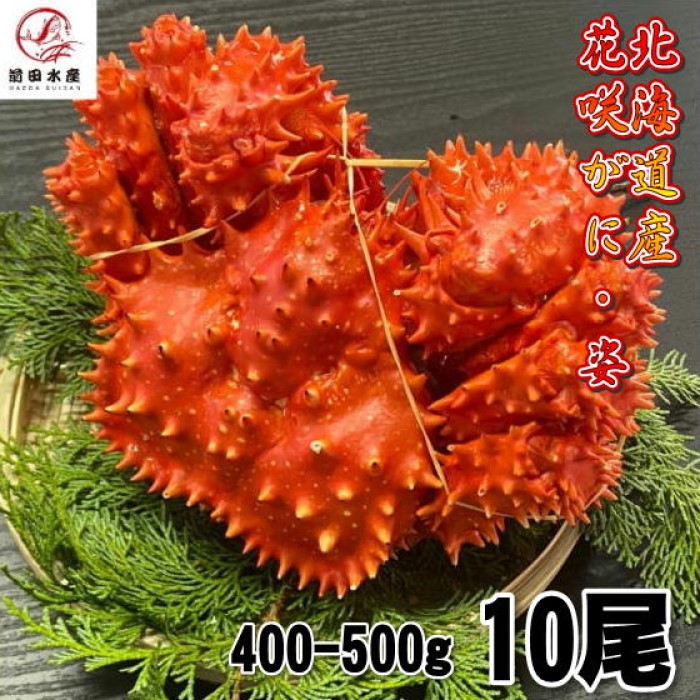 【訳あり】花咲がに　10尾（約400&minus;500ｇサイズ）　ボイル　北海道産　花咲ガニ　花咲きがに　蟹　かに　母の日　父の日　お中元　お歳暮｜前田水産 45,499円