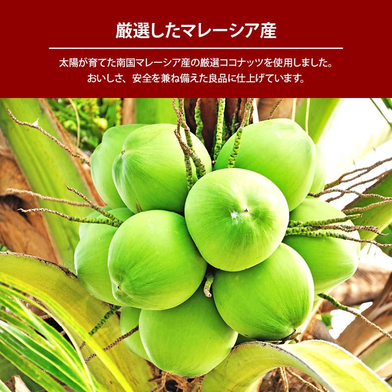 【クーポン使用で10%OFF】【送料無料】焼きココナッツ150g無添加南国の美容フルーツココナッツ果物サプリメント中鎖脂肪酸ビタミンB1B6食物繊維葉酸おやつおつまみポイント消化RichLife