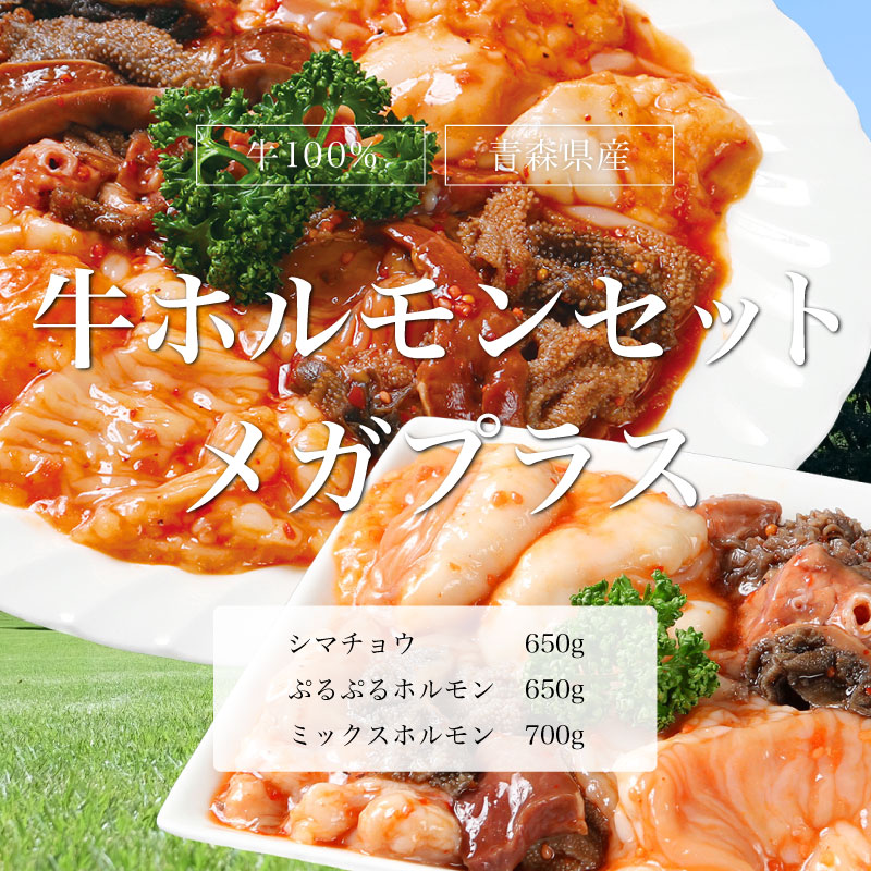 青森県産牛ホルモンセット メガプラス 2kg シマチョウ ぷるぷるホルモン ミックスホルモン 送料無料 味付き タレ 脂付き 牛もつ 牛肉 小腸 大腸 上ホルモン シロコロ q バーベキューセット 焼肉 焼き肉 Natboardmcqs Com