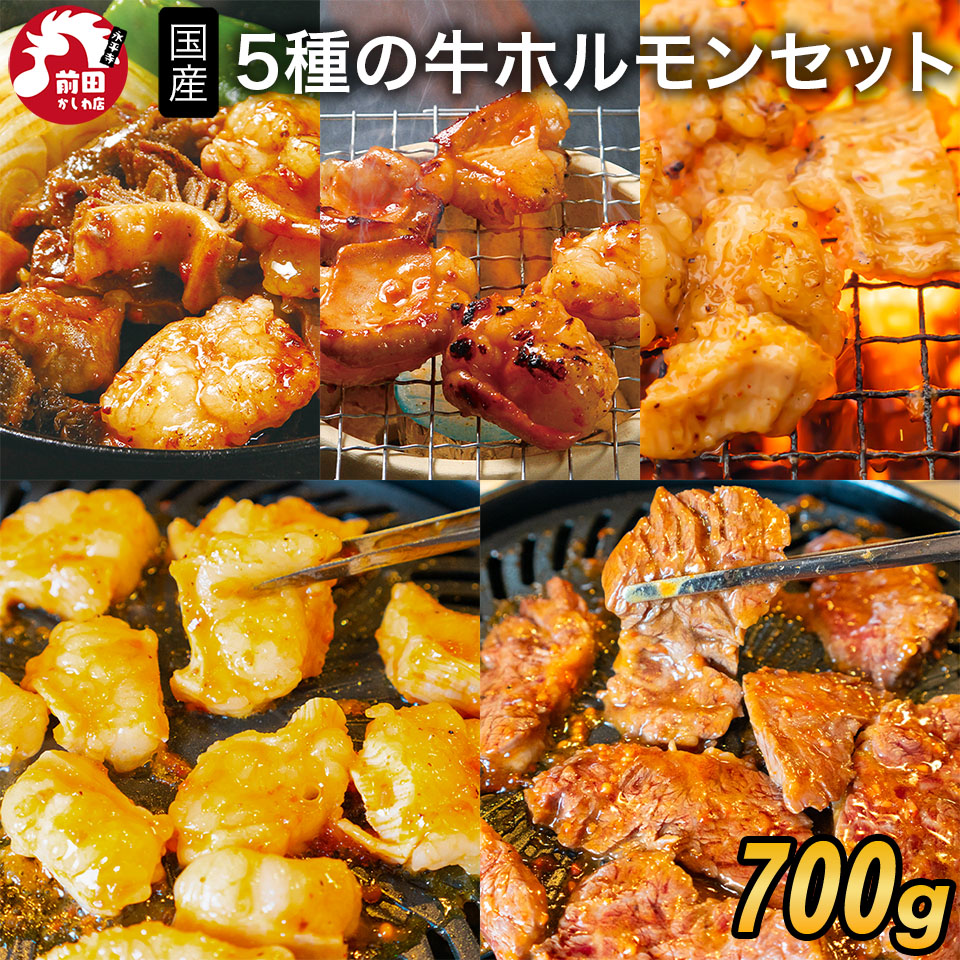 特製タレ漬け 5種の国産牛ホルモン お試しセット (シマチョウ・ぷるぷるホルモン・ミックスホルモン・ハラミ・ミノサンド) [700g] (冷凍) 食べ比べ お徳用 大容量 焼肉 BBQ