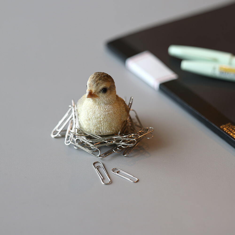 楽天市場】BIRDIE BILL BLUE BIRD ( バーディ ビル ブルーバード 楽天市場】BIRDIE BILL BLUE BIRD ( バーディ ビル ブルーバード