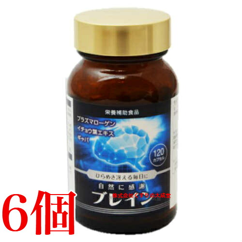 自然に感謝 ブレイン 120カプセル 6個 ジャパンメディック
