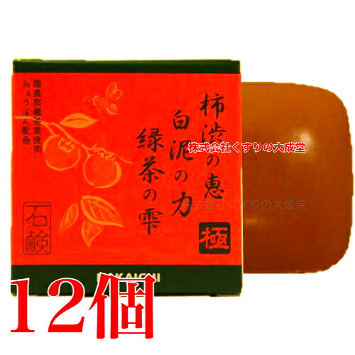 柿渋の恵 白泥の力 緑茶の雫 極 石ケン 100g 12個 中一医学的 Nakaichi 柿渋 石ケン クリアボディーソープ
