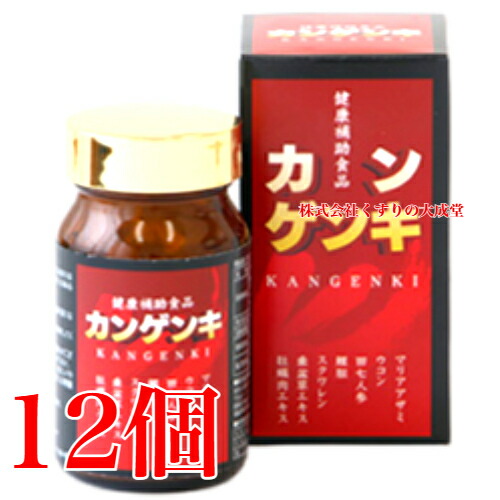 13時までのご注文当日発送 カンゲンキ 240粒 12個 中部薬品