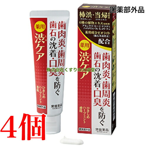 13時までのご注文当日発送 薬用はみがき 薬用 渋ケア 100g 4個 常盤薬品 ノエビアグループ トキワ 医薬部外品 歯磨き粉