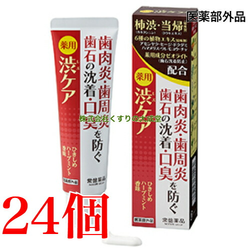 13時までのご注文当日発送 薬用はみがき 薬用 渋ケア 100g 24個 常盤薬品 ノエビアグループ トキワ 医薬部外品 歯磨き粉