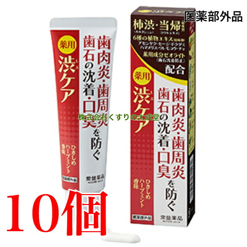 13時までのご注文当日発送 薬用はみがき 薬用 渋ケア 100g 10個 常盤薬品 ノエビアグループ トキワ 医薬部外品 歯磨き粉