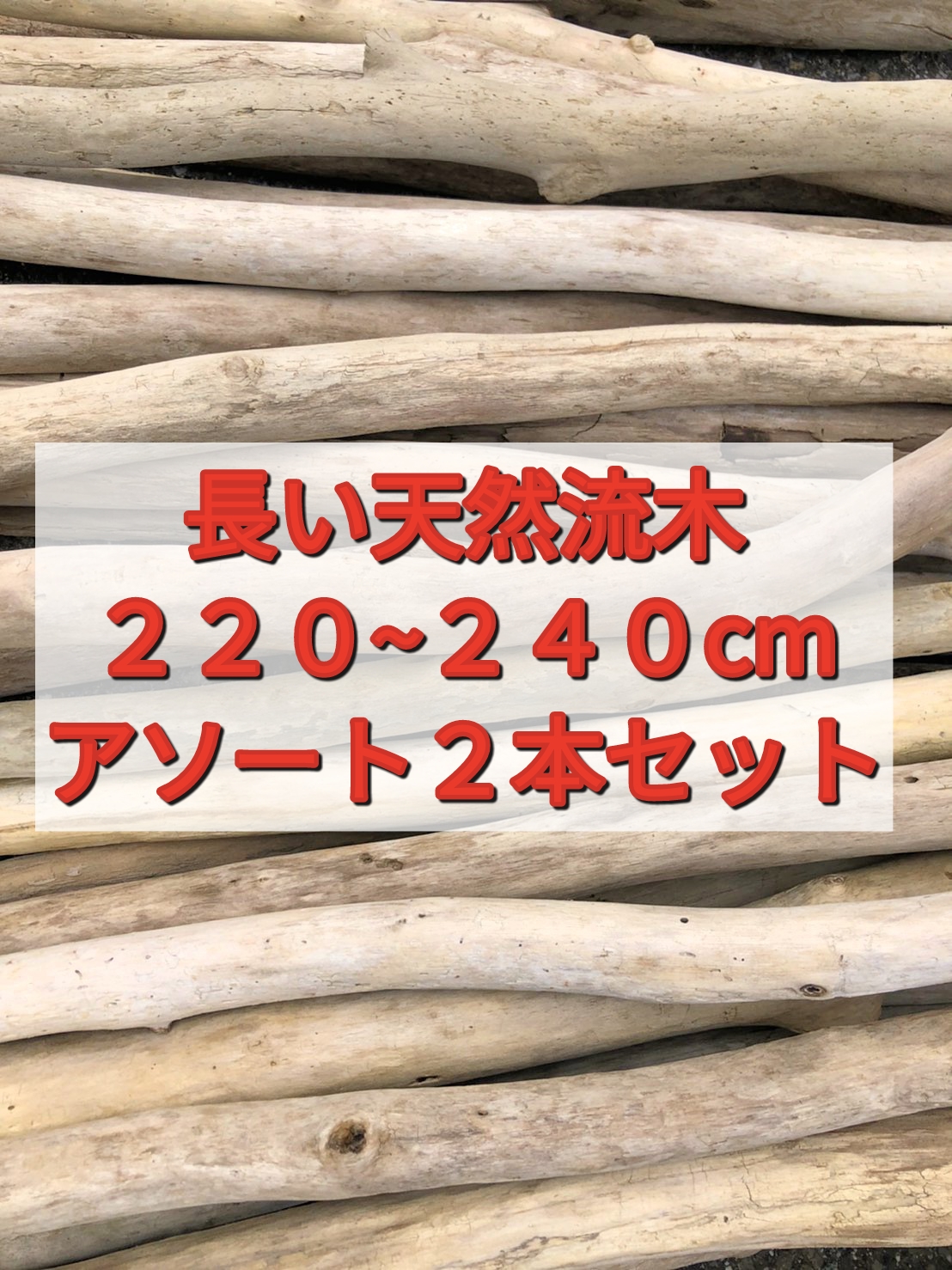 楽天市場】【送料無料】南信州産 天然流木 枝流木 １０本 格安アソート