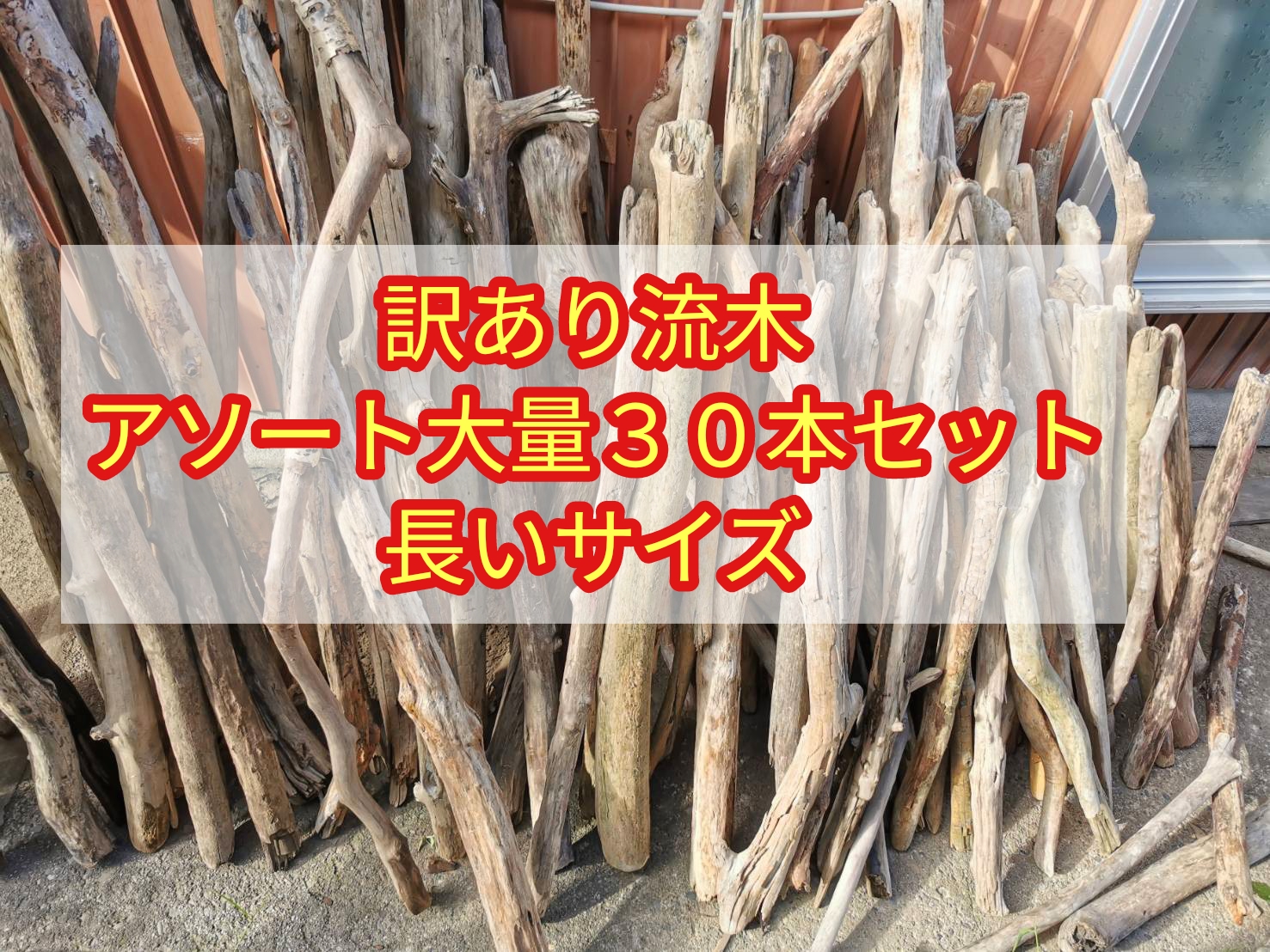 バーゲンで 南信州 天然流木 2本セット ２４０cmから２７０cm アソート販売 長い枝流木 インテリア 家具 Www Dastaknews Com