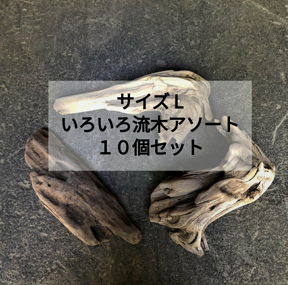 【貨物輸送無料】南信州産 生まれながら流木 【塊 うつり変わり 板 根】 いろいろ流木 【アソート１０個書き割り 】【大きさＬ】 安上がりまとめ売り●流木室内装飾 流木お手てお手伝いさん DIY 多肉植物 素っ気ない御花 エアープランツ 賃貸借契約 蚊食い鳥幽客 海洋博物館 スワッグ クリスマス フローリスト 苔