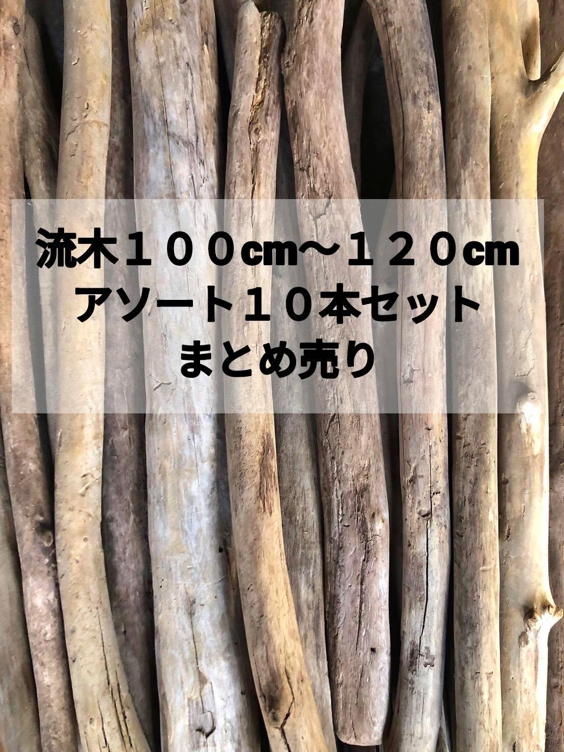 【貨物輸送無料】南信州産 生まれながら流木 長々しい流木 枝流木アソート売りわたす【１００糎～１２０糎】【１０本仕掛ける】まとめ売り●流木室内装飾 流木御手々御手伝いさん DIY 室内装飾ひな型 バス発着場施工 素っ気ない御花 バス発着場ひな型 バス発着場かざり付ける マクラメ アーティシャルフラワー いけばな 草木