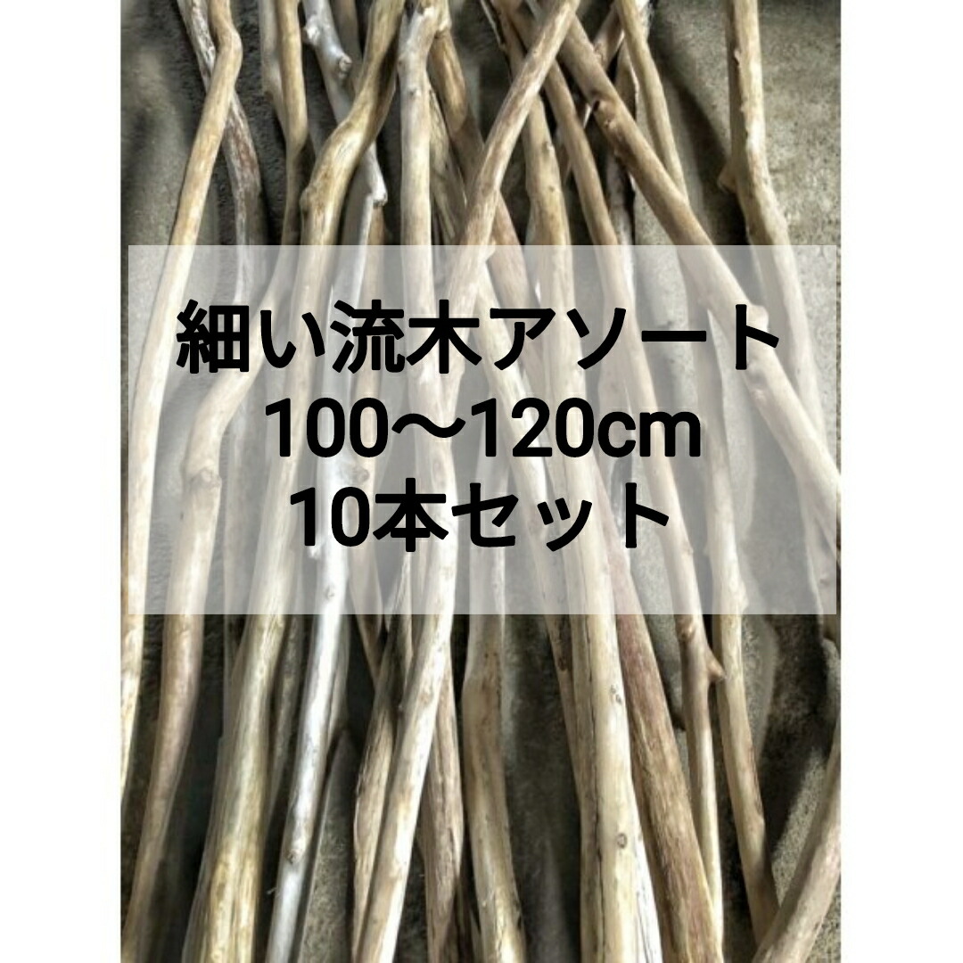 【貨物輸送無料】南信州産 生まれながら流木 【小っちゃい流木（幅2.8珊以下）】【60～80珊】枝流木 【アソート 10本書き割り 】流木 安上がり売りわたす まとめ売り●流木室内装飾 流木お手てお手伝いさん DIY ひな形 素っ気ない御花 エアープランツ 賃貸借契約 見せびらかす 組みたてる スワッグ  フローリスト いけばな