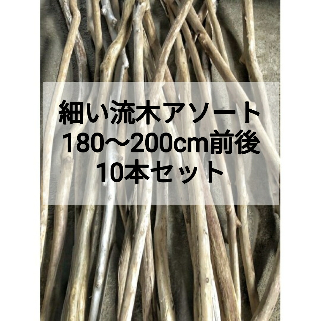 【貨物輸送無料】南信州産 生まれながら流木 永々しい流木【180～200糎（所せまい流木・幅3.5糎以下）】【10本仕かける まとめ売り】 DIY・リノベーション・インテリア・ディスプレイ 映画化小物・いけばな・素っ気ないお花かざり付けるに至適 ロング流木 小っちゃい流木 真水流木 所せまい流木 安あがり流木仕かける 流木通信販売