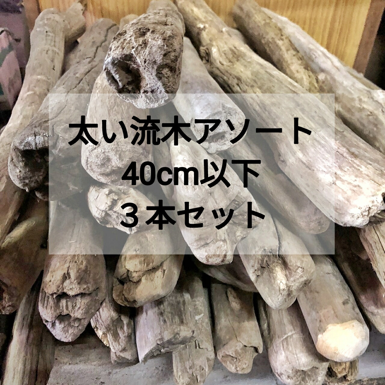 楽天市場】【送料無料】南信州産 【枝分かれ まがり流木】【100cm