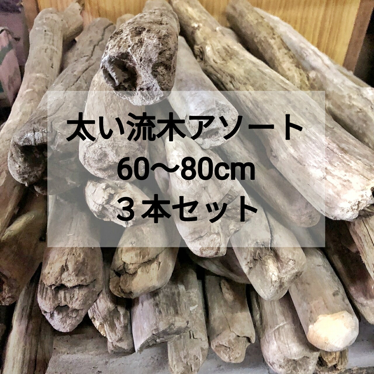 楽天市場】【送料無料】【太い流木】枝流木 幹流木 太め流木 長い流木