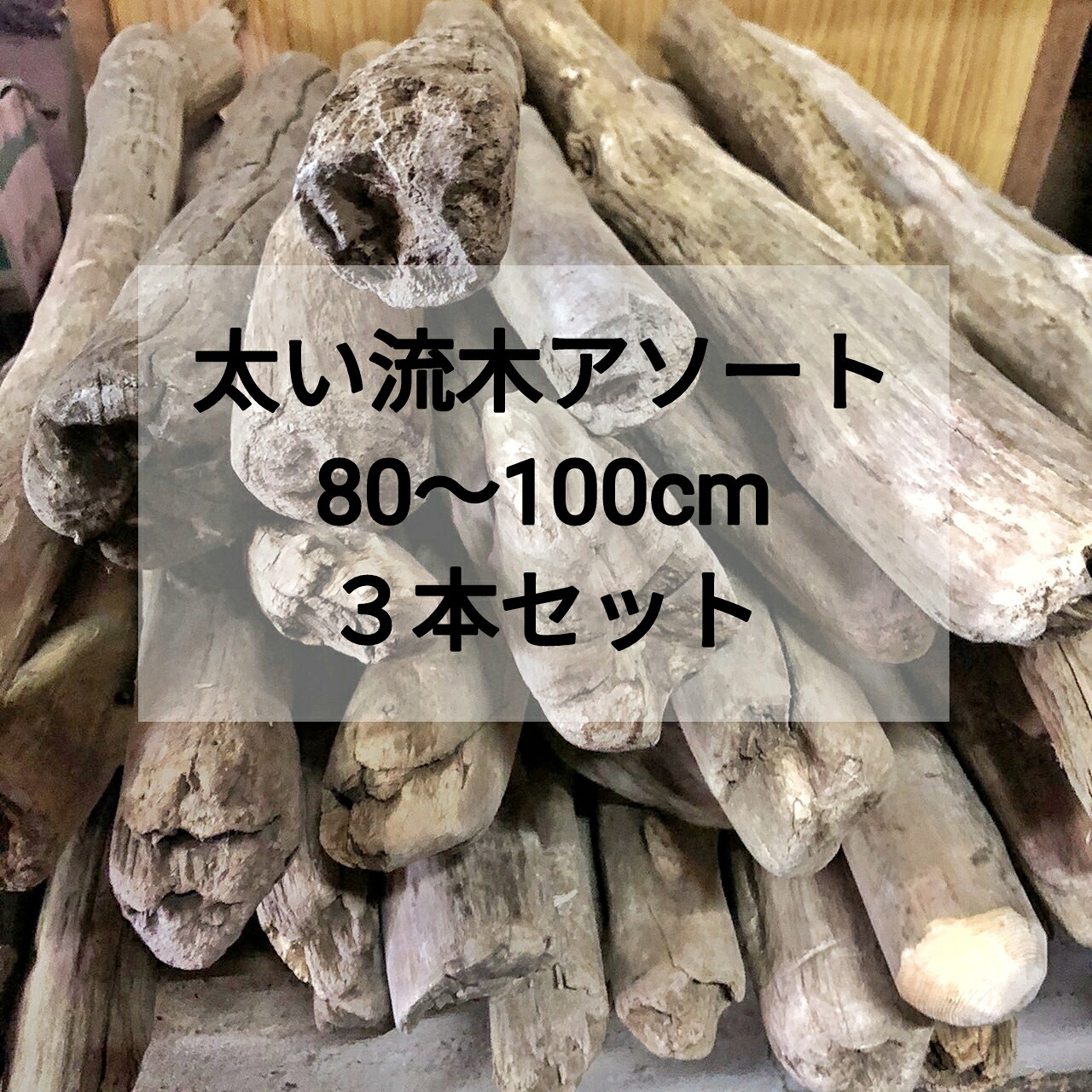 【貨物輸送無料】【いけ図図しい流木】枝流木 幹流木 太め流木 生まれながら流木【80珊～100珊】【３本書き割り まとめ売り】安上がりアソート 真水流木 卸売 組みたてる DIY キャットタワー 流木室内装飾 流木工芸 ハ虫類 伏せ籠 猫 柵 大工仕事 ひな形 エクステリア 生まれながら材木 手摺り 革新
