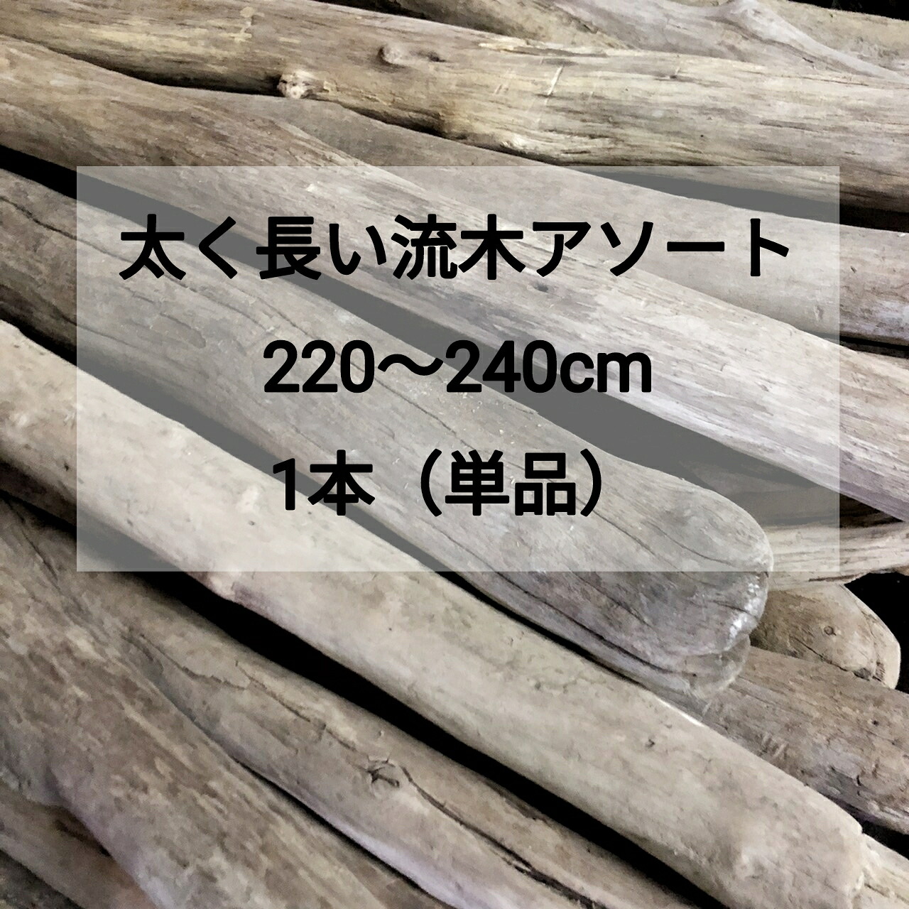 【貨物輸送無料】【いけ図図しい流木】枝流木 幹流木 太め流木 長々しい流木 生まれながら流木【220珊～240珊（2ｍ）】【1本（単品売りわたす）】安上がりアソート 真水流木 卸売 組みたてる DIY キャットタワー 流木室内装飾 流木工芸 ハ虫類 伏せ籠 猫 柵 大工仕事 ひな形 生まれながら材木 手摺り 革新