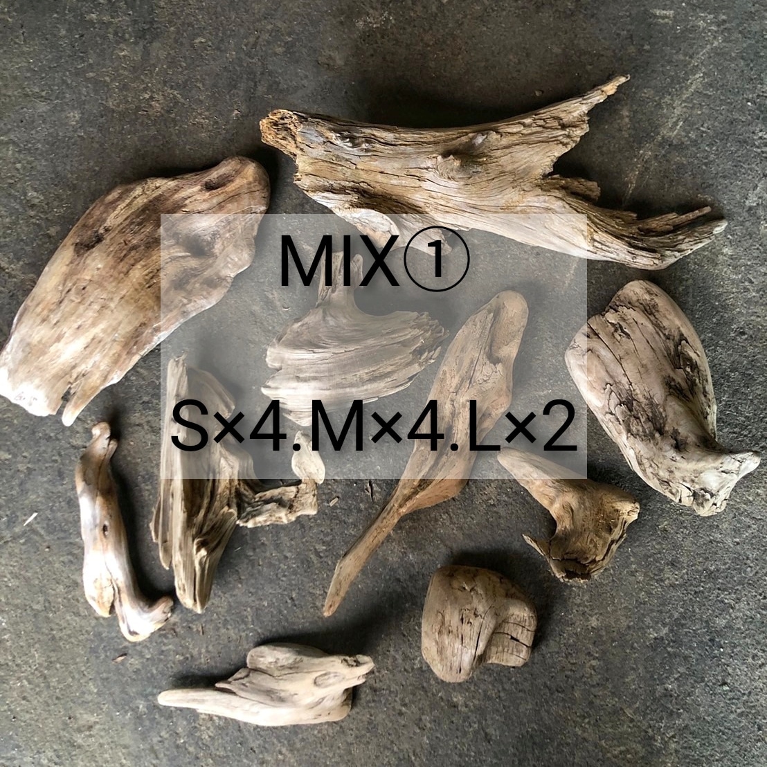 楽天市場】流木10本セットC 爬虫類 自然流木 淡水流木