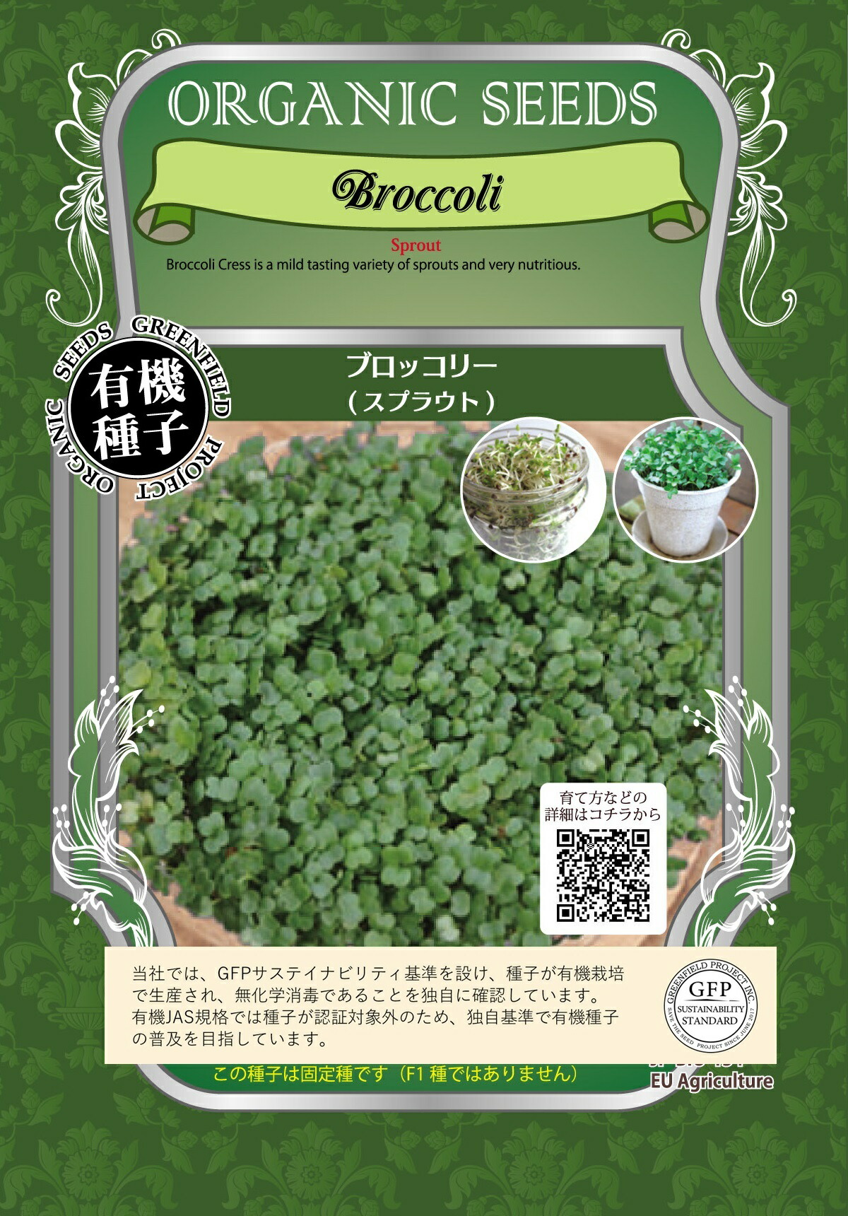 楽天市場】A304 滝野川ゴボウ ごぼう 牛蒡 35粒 有機種子 固定種 たね タネ グリーンフィールドプロジェクト 【ポスト投函便対象】 :  マグーズショップ