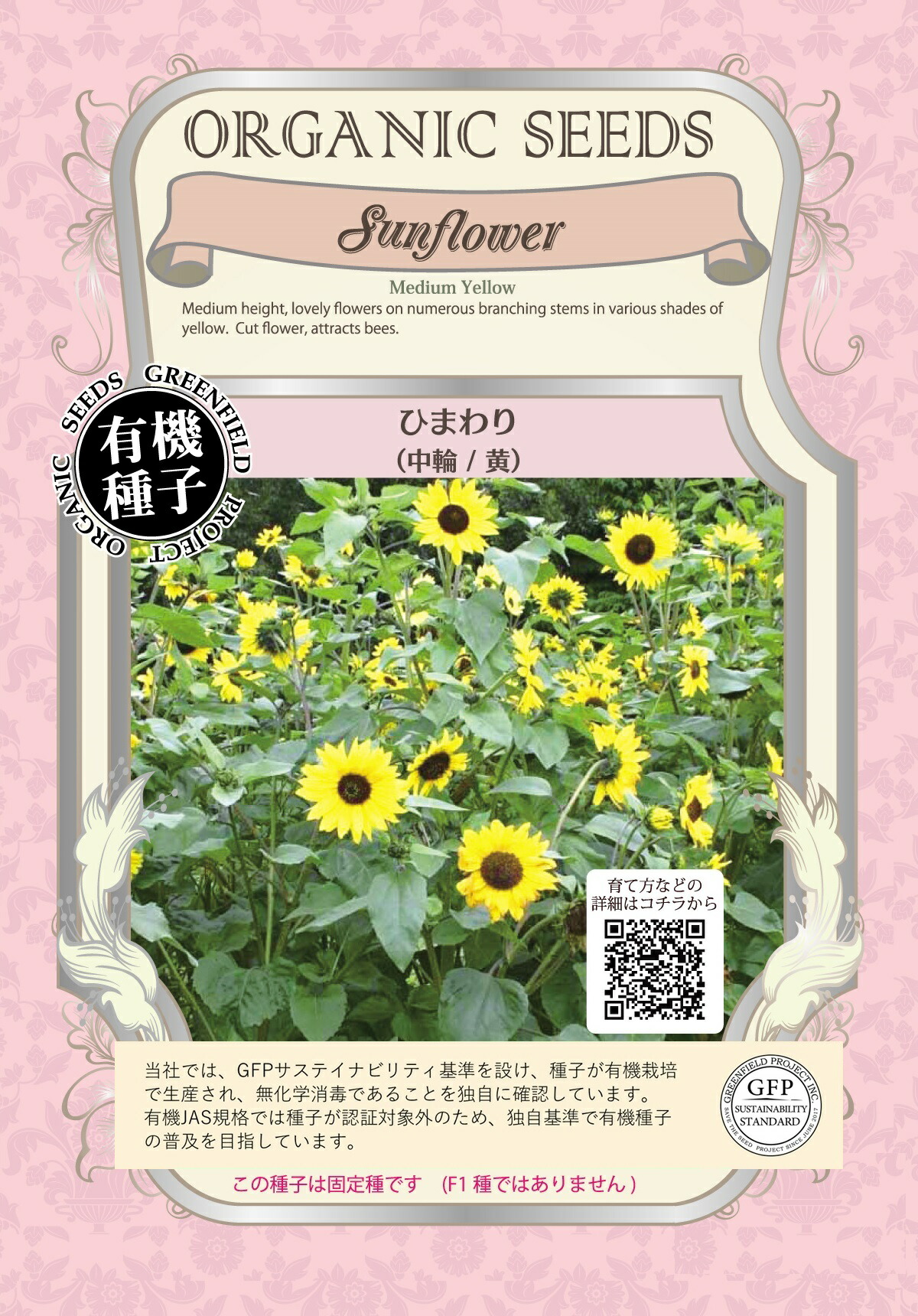 新種の向日葵 新種の向日葵