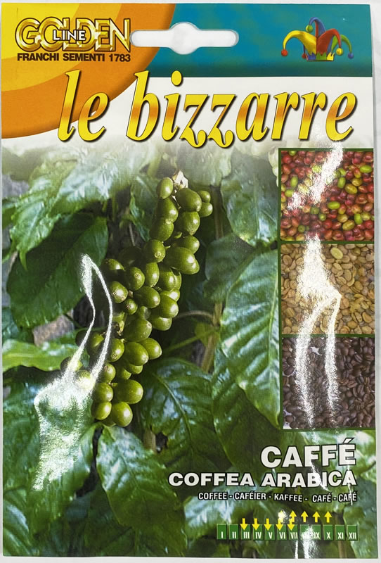 楽天市場 種まき 3 7月 アラビカコーヒーの種 Caffe Coffea Arabica 17 1 Franchi社 野菜 珈琲 種 たね ポスト投函便 マグーズショップ