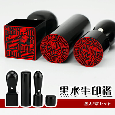 印鑑 はんこ 法人黒水牛印鑑２本セット ケース付 代表印 銀行印(18.0mm) (16.5mm) Ｄセット 印鑑 はんこ 法人 会社設立 実印 銀行印 角印 送料無料 法人印鑑 ゴム印10％off法人印鑑セット 2本 ゴム印付 法人印
