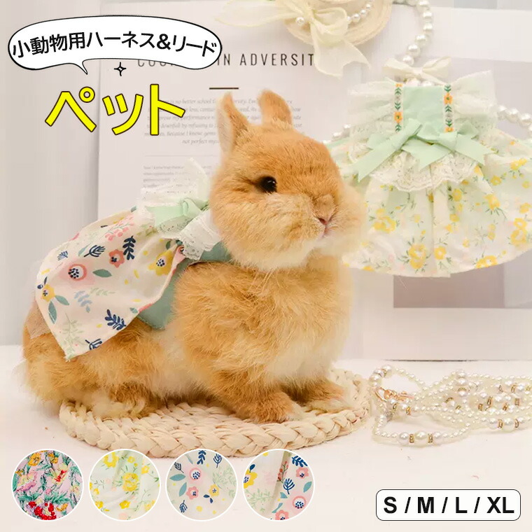 ペットをもっとかわいくする♪ペット服＋リード2点セットうさぎ用ウサギ用リードハーネスうさぎハーネスペットウェアうさぎウェアレース切替ワンピースペット用品ペット服小動物服写真撮影