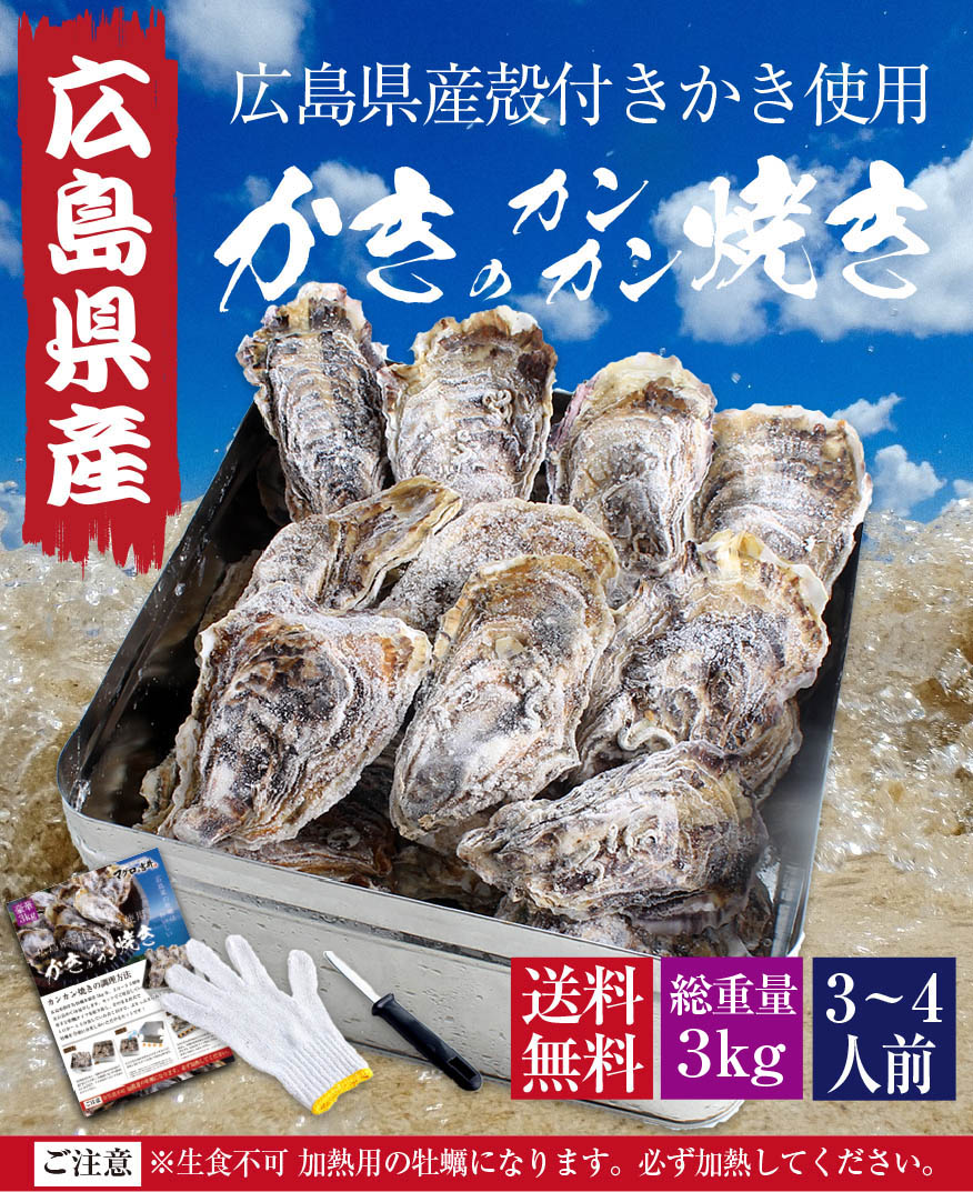最大95％オフ！ 牡蠣 殻付き カンカン焼き セット 広島県産 冷凍 カキ 約3kg 約26個前後 片手用軍手 ナイフ 調理説明書付き 貝類