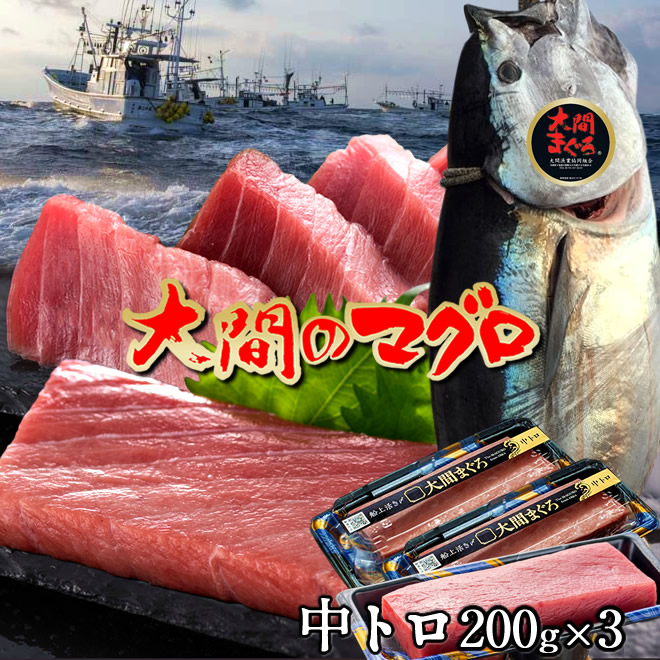 maguro-c200g3.jpg maguro-c200g3.jpg