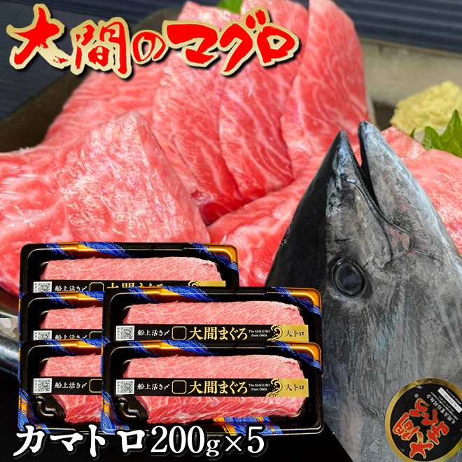 年末大幅値下げ中　テロマエロマエ　東海館 maguro-k200g5.jpg