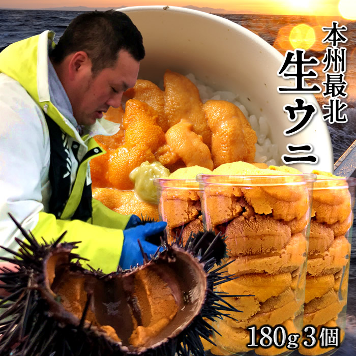 うに 漁師の生うに 180g×3個［新物］瓶詰め 生ウニ 大容量 ワンカップ 青森県産 津軽海峡 今が旬 新鮮 キタムラサキウニ ビンづめ［父の日 お中元ギフト］