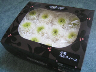 楽天市場】【花材】プリザーブドフラワー 大地農園みやこ松 小 1束10本