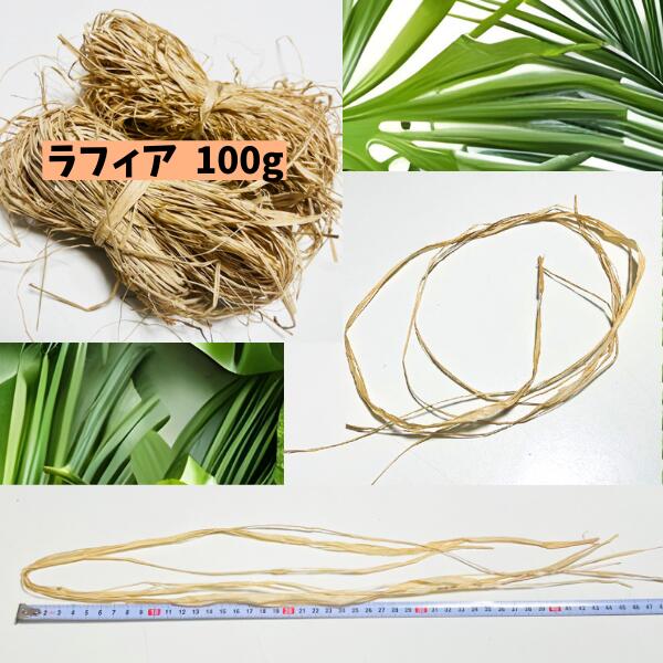 楽天市場】ラフィア フラ スカート フラダンス衣装 タヒチアンダンス