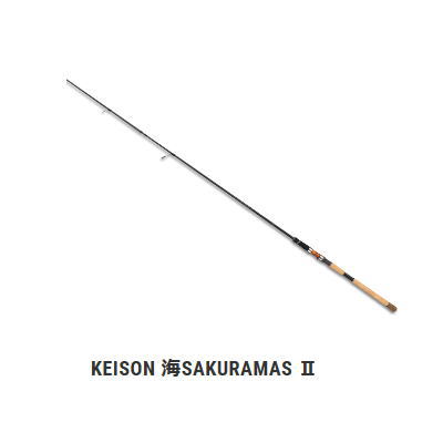 〇〇tailwalk テイルウォーク KEISON GINSEI PLUS 袋付 ケイソン 銀聖 プラス ロッド 126H infinity-sw_31541519