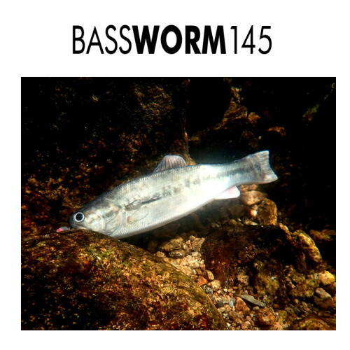 楽天市場】イマカツ バスワーム145 3Dリアリズム #S-611 3DRラージ