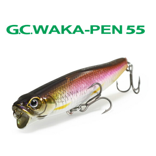 一誠 ルアーセット ワカペン ハスゴップ 美品】 一誠 ハスゴップ ワカペン トップウォーターセット