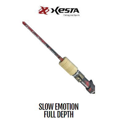 XESTA ブラックスター ソリッド セカンドジェネレーション B65-S blackstarsolid2nd2.jpg